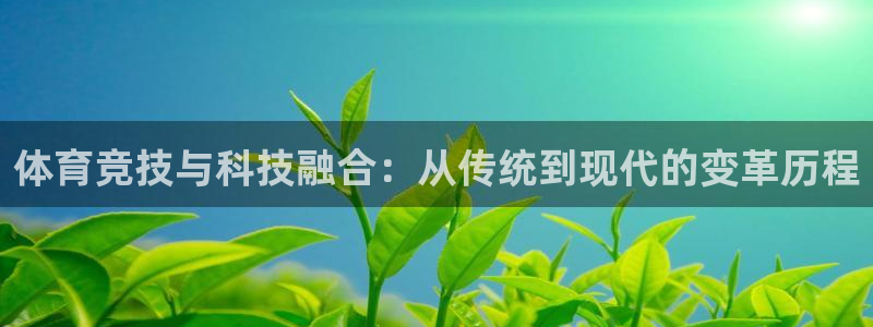 v66体育平台正规吗可靠吗