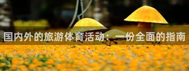v66体育平台正规吗可靠吗：国内外的旅游体育活动：一份全面的指南