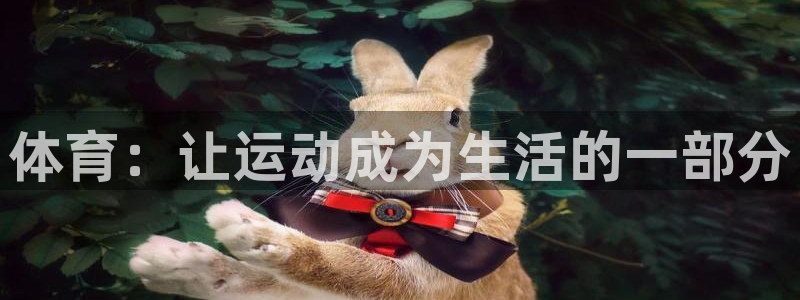 v66体育平台安全吗：体育：让运动成为生活的一部分