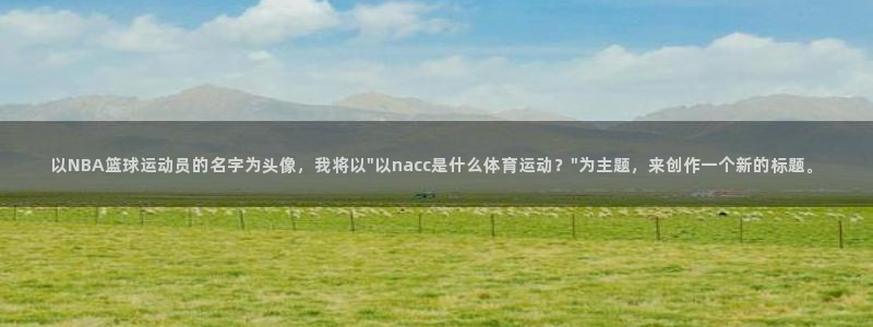 v66体育平台安全吗：以NBA篮球运动员的名字为头像，我将以\