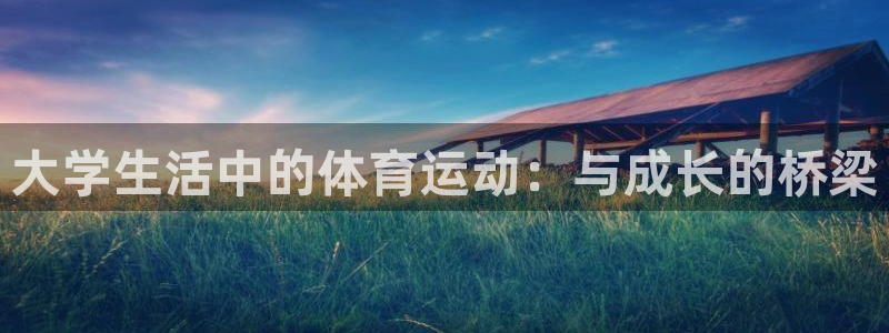 v66体育