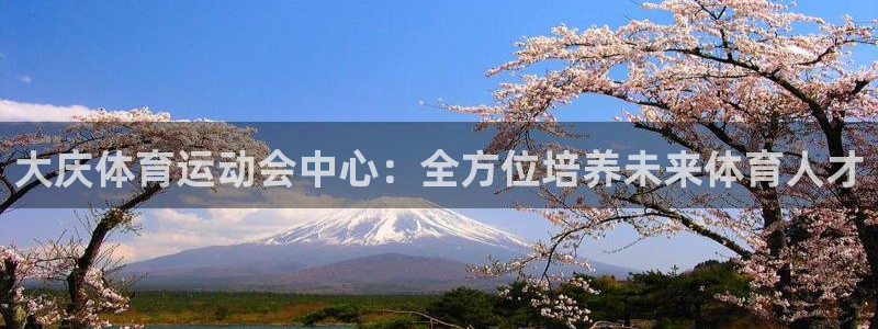 v66体育平台安全吗