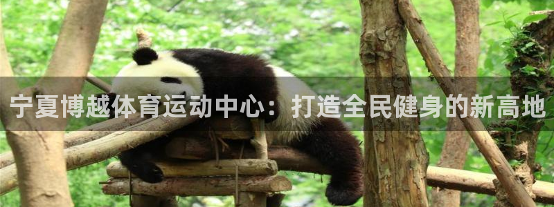 v66体育彩票平台正规吗可靠吗