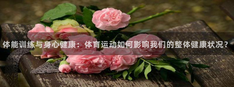 v66体育彩票
