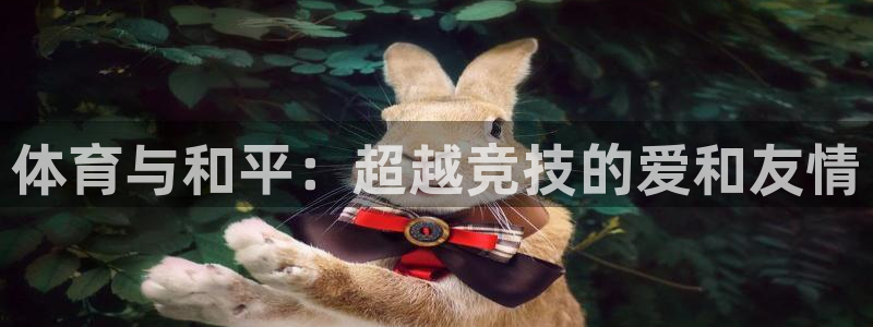 v66体育官网入口：体育与和平：超越竞技的爱和友情